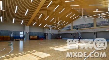 心目中最好的体育馆材料作文800字 关于心目中最好的体育馆的材料作文800字