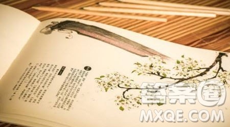 操千曲而后晓声观千剑而后识器材料作文800字 关于操千曲而后晓声观千剑而后识器的材料作文800字