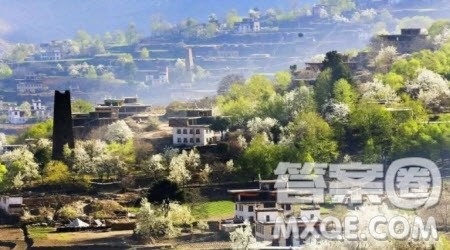 乡土中国读后感1000字 关于乡土中国的读后感1000字 乡土中国读后感1000字 关于乡土中国的读后感1000字