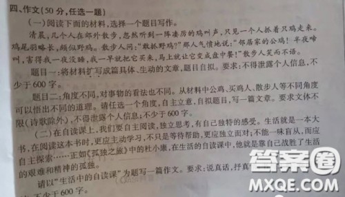 公鸡买鸡人散步人不同角度作文600字 关于公鸡买鸡人散步人不同角度的作文600字 公鸡买鸡人散步人不同角度作文600字 关于公鸡买鸡人散步人不同角度的作文600字