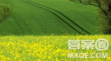 春天的田野为题作文400字 2022春天的田野作文400字 春天的田野为题作文400字 2022春天的田野作文400字