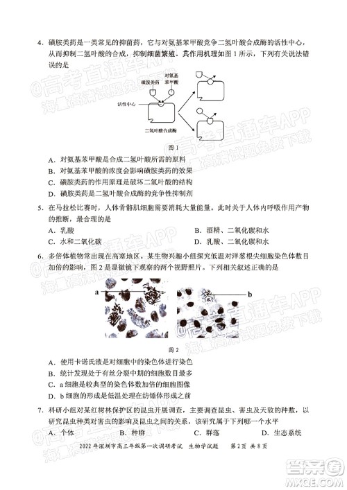 2022年深圳市高三年级第一次调研考试生物学试题及答案 2022年深圳市高三年级第一次调研考试生物学试题及答案