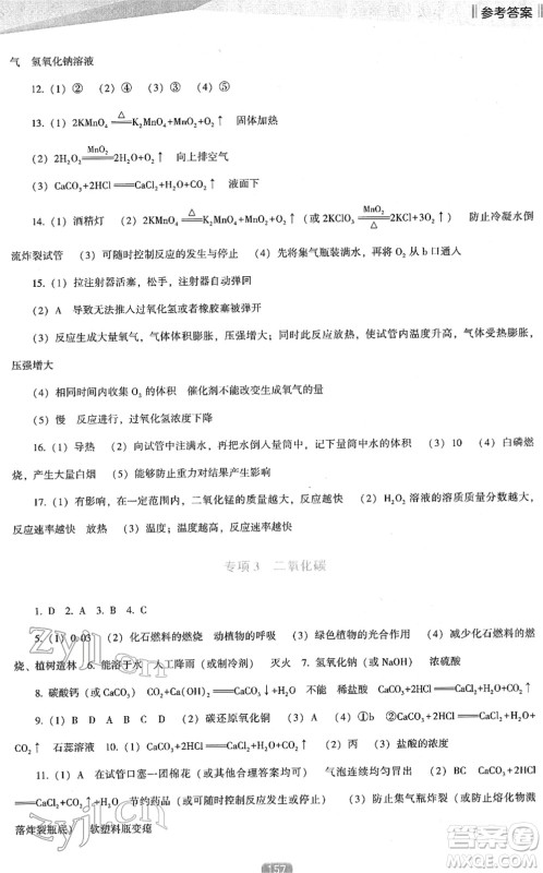 辽海出版社2022新课程化学能力培养九年级下册人教版D版大连专用答案