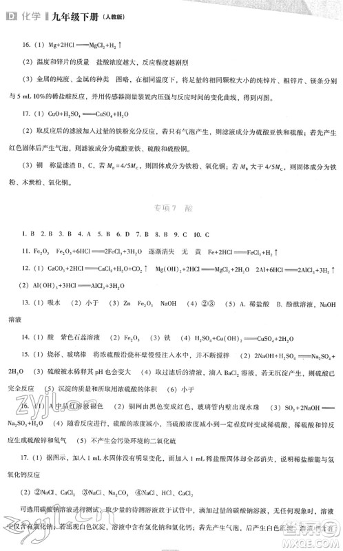 辽海出版社2022新课程化学能力培养九年级下册人教版D版大连专用答案