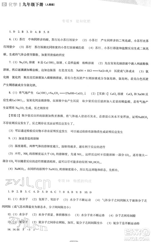 辽海出版社2022新课程化学能力培养九年级下册人教版D版大连专用答案