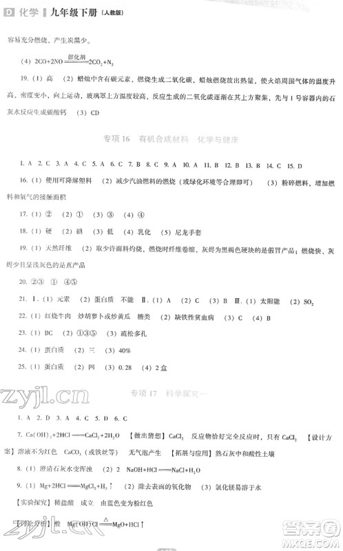 辽海出版社2022新课程化学能力培养九年级下册人教版D版大连专用答案