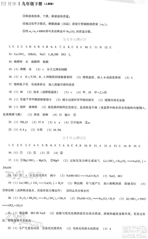 辽海出版社2022新课程化学能力培养九年级下册人教版D版大连专用答案