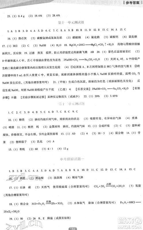 辽海出版社2022新课程化学能力培养九年级下册人教版D版大连专用答案