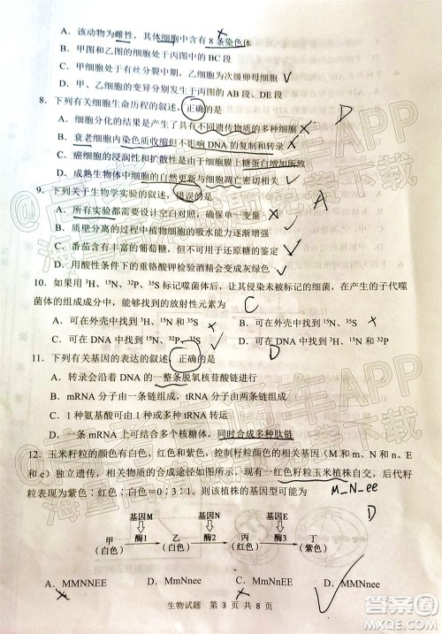 渭南市2022届高三教学质量检测1生物试题及答案 渭南市2022届高三教学质量检测1生物试题及答案