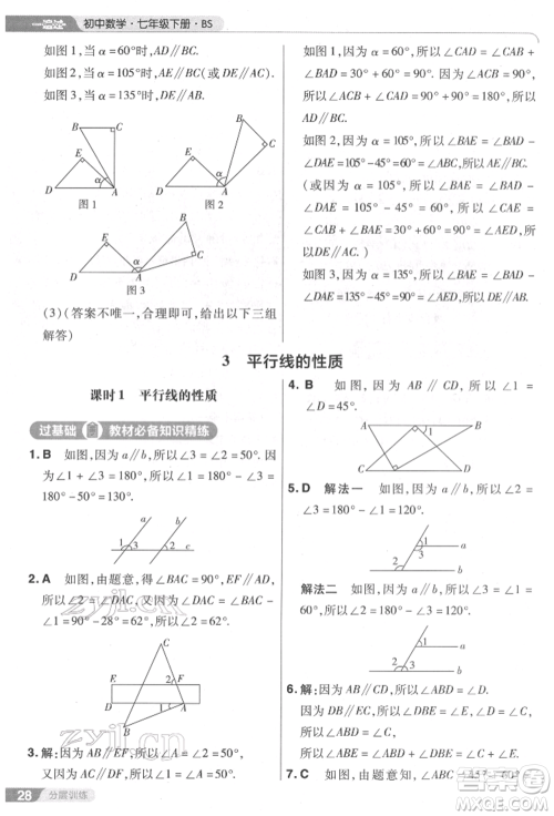 南京师范大学出版社2022一遍过七年级数学下册北师大版参考答案