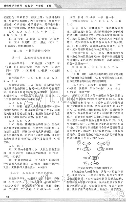 广西师范大学出版社2022新课程学习辅导八年级生物下册人教版答案