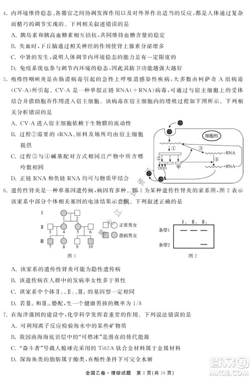 衡中同卷2022届全国高三第二次学业质量联合检测乙卷理综试题及答案