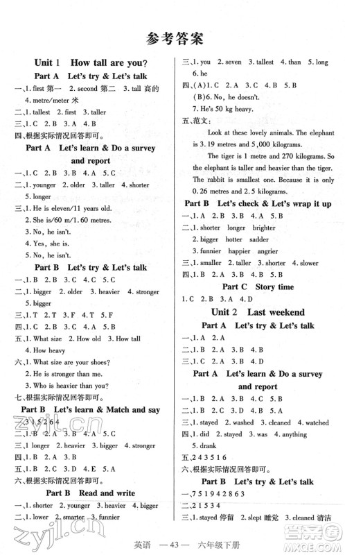 二十一世纪出版社2022新课程新练习六年级英语下册PEP版答案