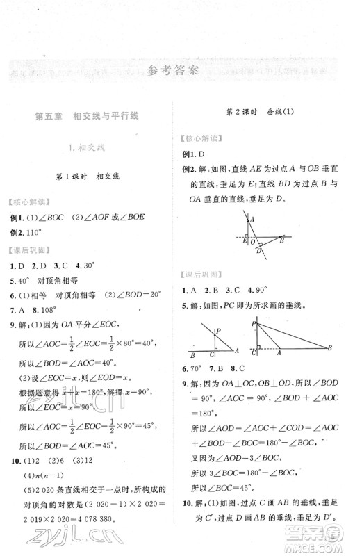 人民教育出版社2022绩优学案七年级数学下册人教版答案