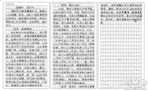 从追星人或被追星人身上学到了什么材料作文800字 关于从追星人或被追星人身上学到了什么的材料作文800字