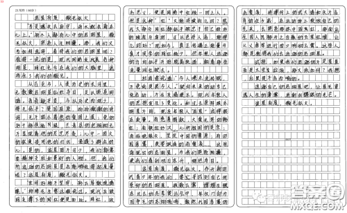 从追星人或被追星人身上学到了什么材料作文800字 关于从追星人或被追星人身上学到了什么的材料作文800字