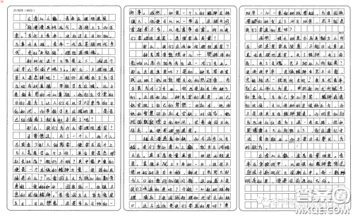 从追星人或被追星人身上学到了什么材料作文800字 关于从追星人或被追星人身上学到了什么的材料作文800字