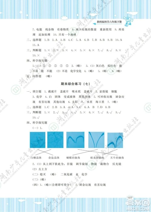 湖南少年儿童出版社2022课程基础训练六年级科学下册教科版答案