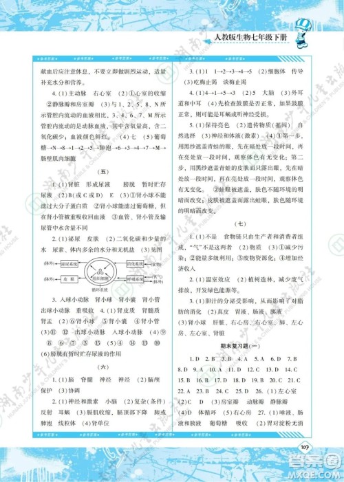 湖南少年儿童出版社2022课程基础训练七年级生物下册人教版答案