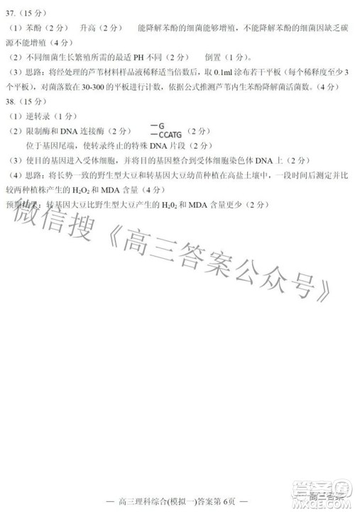 20220607项目第一次模拟测试卷理科综合试题及答案 20220607项目第一次模拟测试卷理科综合试题及答案