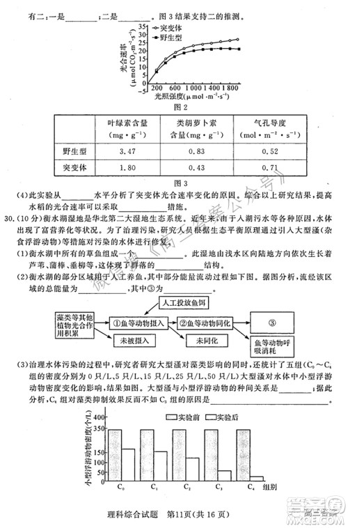 湘豫名校联考2022年3月高三理科综合试题及答案