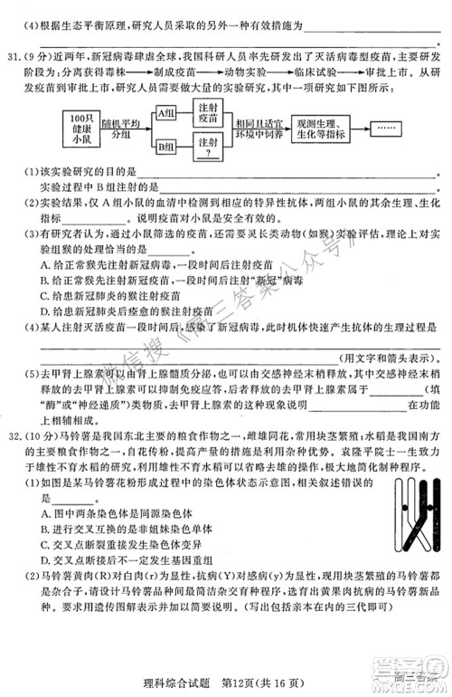 湘豫名校联考2022年3月高三理科综合试题及答案