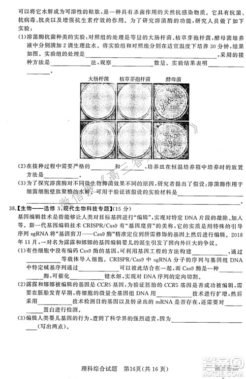 湘豫名校联考2022年3月高三理科综合试题及答案