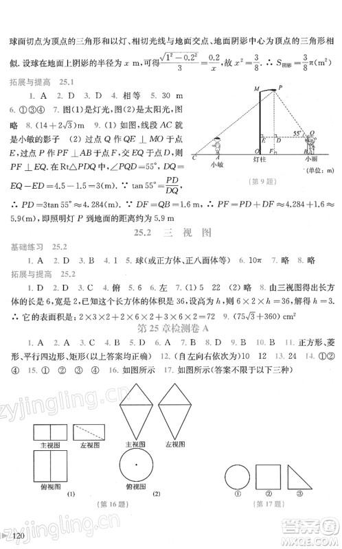 上海科学技术出版社2022初中数学同步练习九年级下册沪科版答案