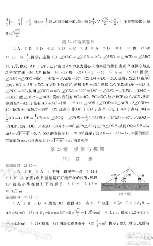 上海科学技术出版社2022初中数学同步练习九年级下册沪科版答案