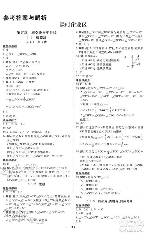 青海人民出版社2022新坐标同步练习七年级数学下册人教版青海专用答案