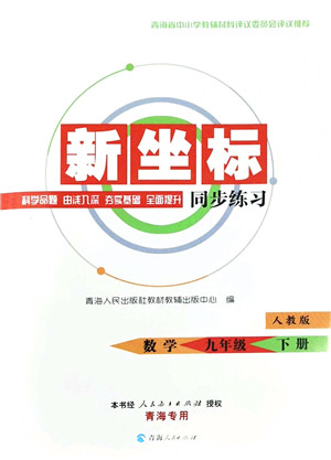 青海人民出版社2022新坐标同步练习九年级数学下册人教版青海专用答案
