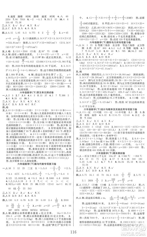 安徽人民出版社2022阳光课堂课时作业六年级数学下册RJ人教版答案