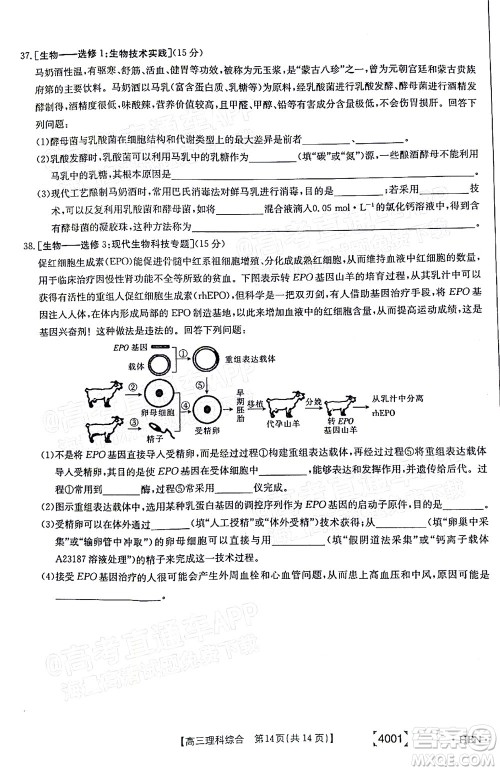 2022届金太阳百万联考3月全国卷高三理科综合试题及答案