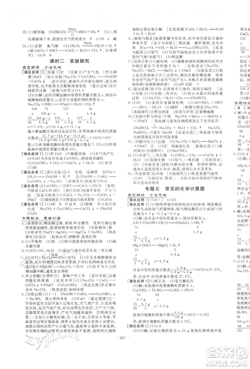 陕西人民教育出版社2022中考总复习导与练化学人教版参考答案