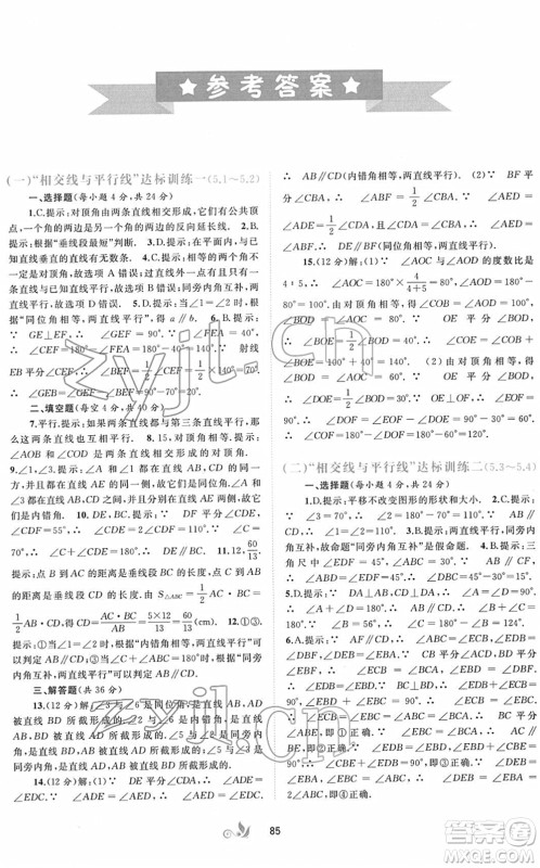 广西教育出版社2022新课程学习与测评单元双测七年级数学下册A人教版答案