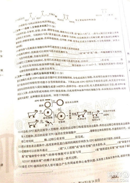 2022届黔东南金太阳3月联考高三理科综合试题及答案