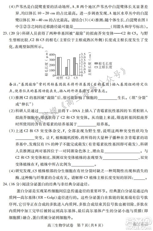 2022年湖北省七市州高三年级3月联合统一调研测试​生物学试题及答案