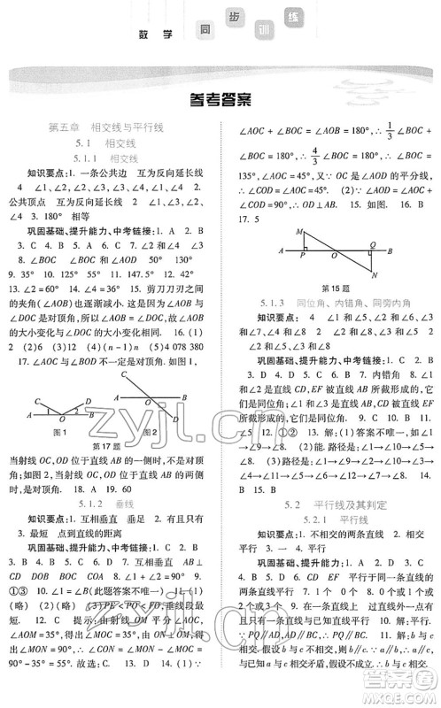 河北人民出版社2022同步训练七年级数学下册人教版答案 河北人民出版社2022同步训练七年级数学下册人教版答案
