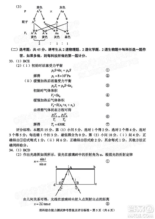 2022年云南省第一次高中毕业生复习统一检测理科综合试题及答案