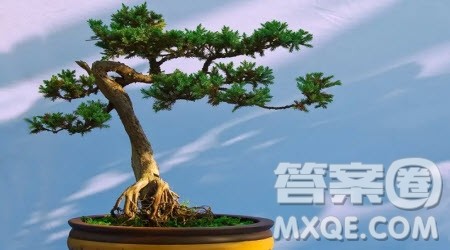 不起眼的____为题作文600字 关于不起眼的____为题的作文600字 不起眼的____为题作文600字 关于不起眼的____为题的作文600字