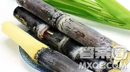 写一篇观察水果的作文300字 关于写一篇观察水果的作文300字