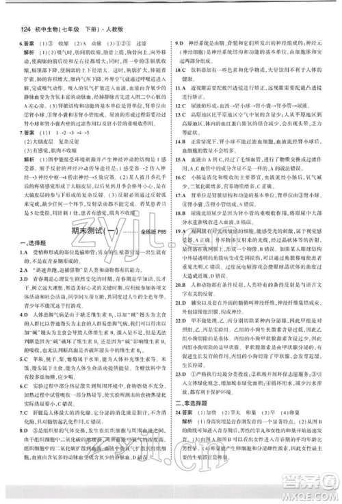 首都师范大学出版社2022年5年中考3年模拟七年级生物下册人教版参考答案 首都师范大学出版社2022年5年中考3年模拟七年级生物下册人教版参考答案