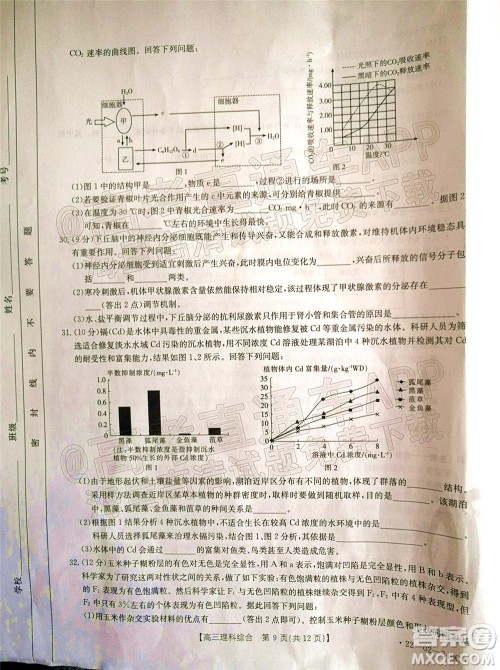 2022届毕节市高三3月统考理科综合试题及答案