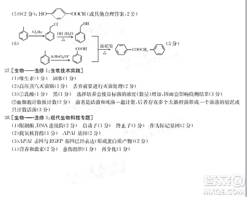 2022届毕节市高三3月统考理科综合试题及答案