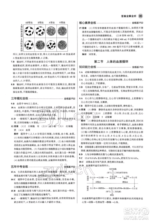 首都师范大学出版社2022年5年中考3年模拟七年级生物下册苏教版参考答案