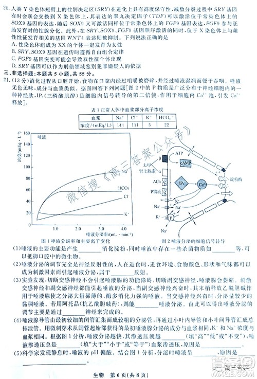 辽宁县级重点高中协作体2022届高三一模考试生物试题及答案 辽宁县级重点高中协作体2022届高三一模考试生物试题及答案