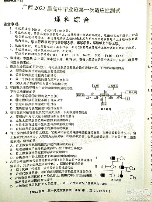 广西2022届高中毕业班第一次适应性测试理科综合试题及答案