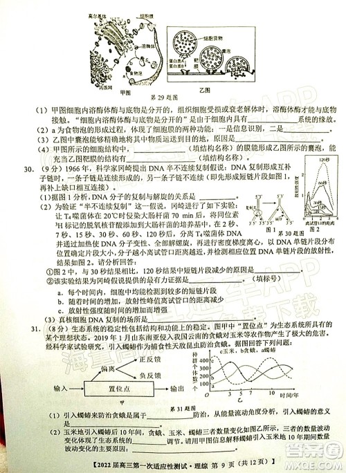 广西2022届高中毕业班第一次适应性测试理科综合试题及答案