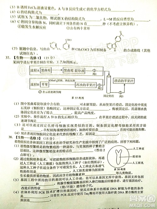 广西2022届高中毕业班第一次适应性测试理科综合试题及答案