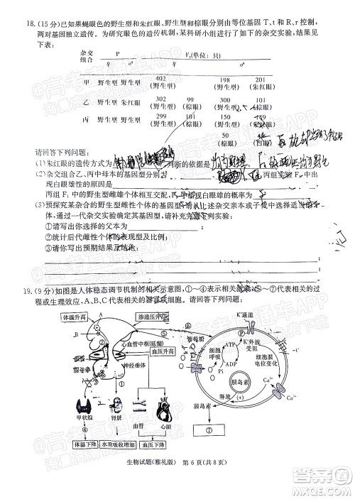 炎德英才大联考雅礼中学2022届高三月考试卷七生物试题及答案